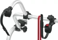 stock-article-image (1).webp