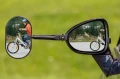 stock-article-image (3).webp